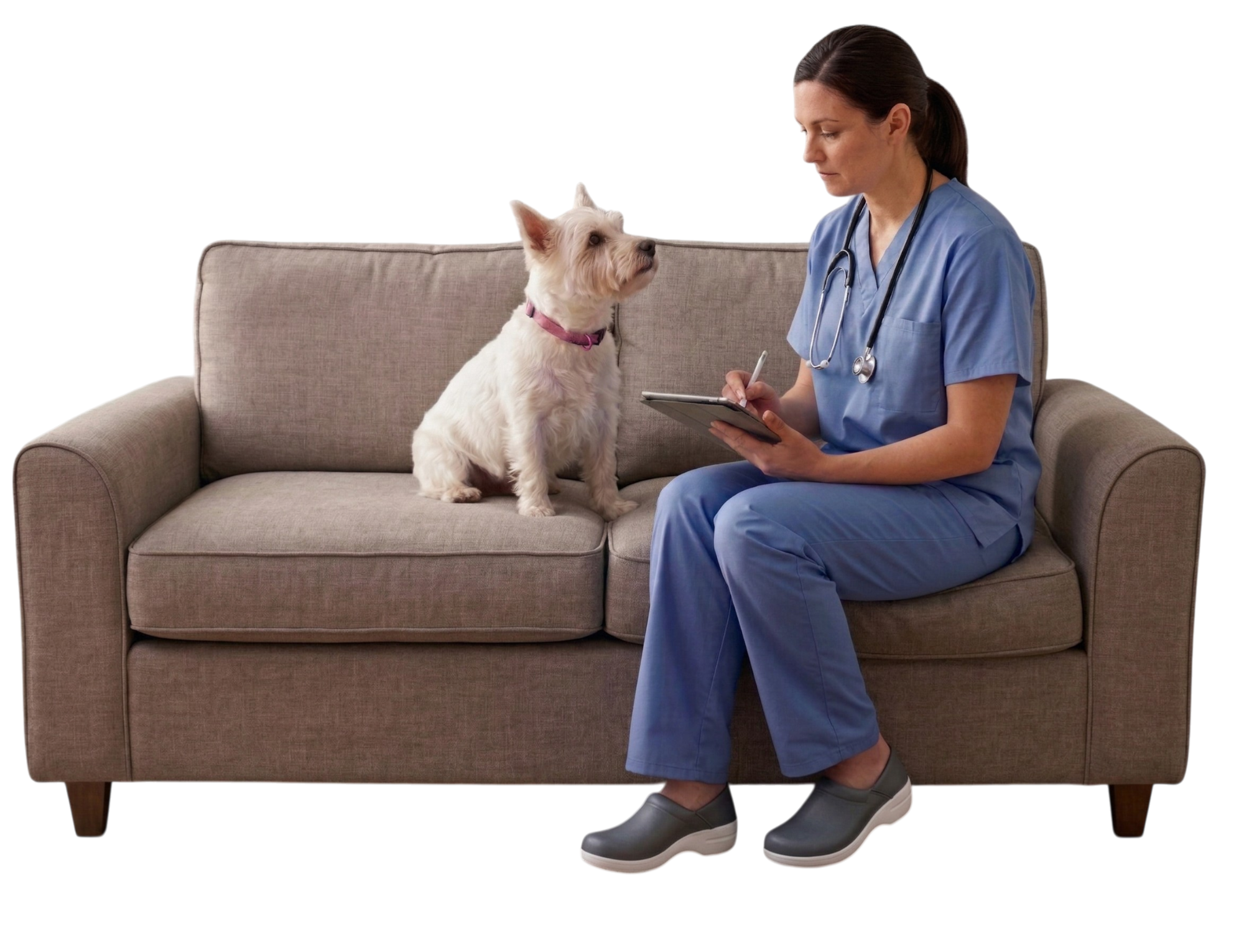 Veterinario atendiendo mascota en casa